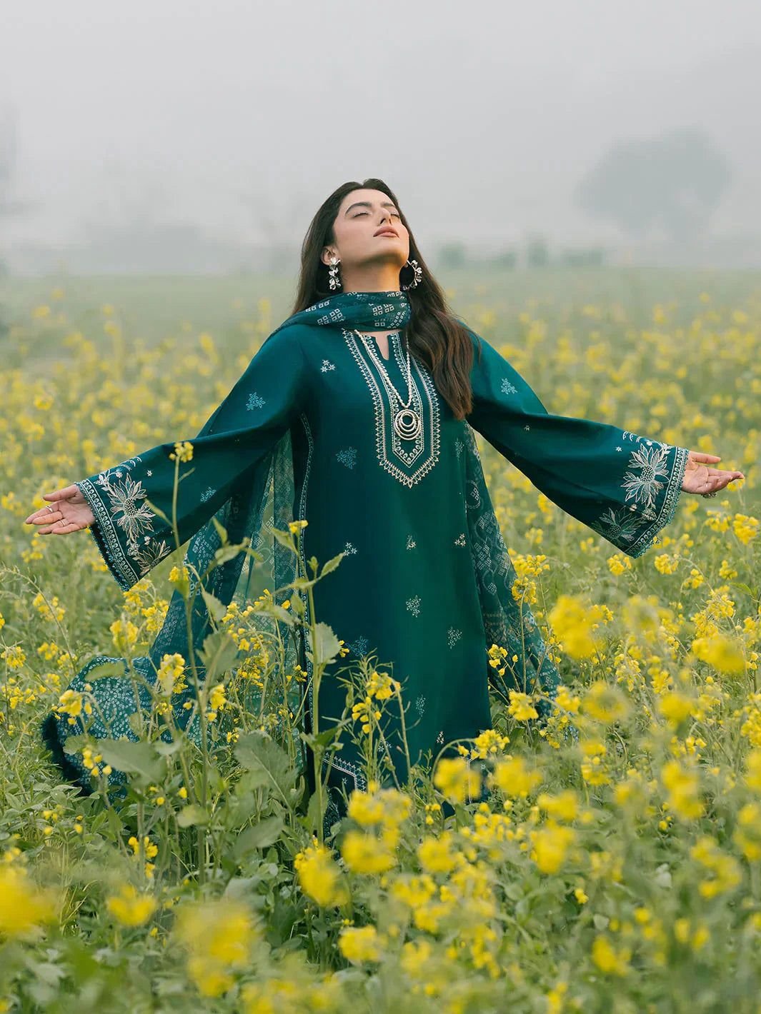 dhanak 3 PC - Image 3